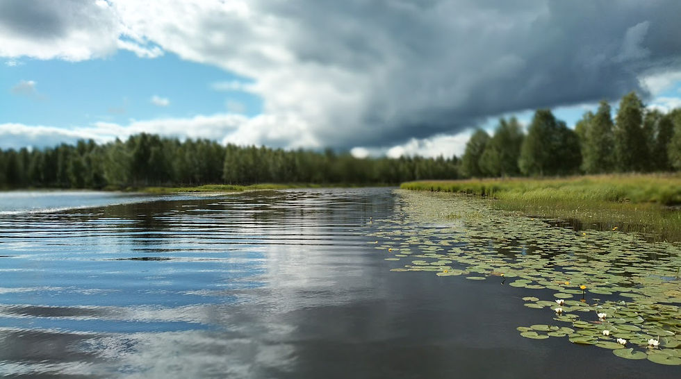 Vaattojärvi