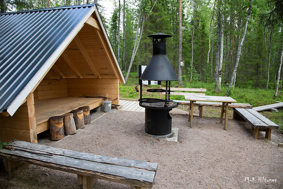 Wooden shelter and benches surround a metal grill in a forest setting. Green trees form the backdrop. Calm, rustic atmosphere.