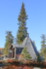 Puolivälissä Karhutunturin metsätietä on kota