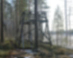 Isojärven lintutorni Oulaisissa