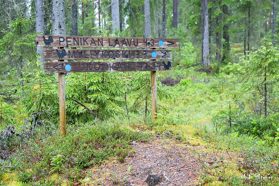Wooden trail sign in a lush forest displays "Penikan Laavu," "Myllykoski," and "Ukonkantti" with directional arrows and blue markers.