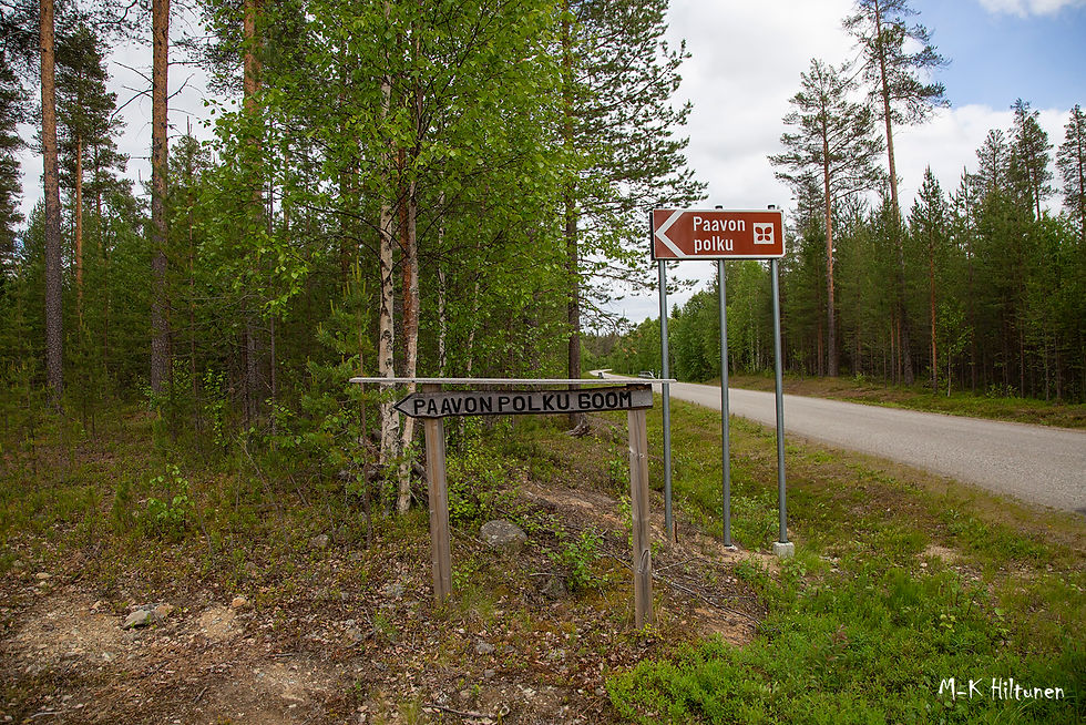 Forest path with two signs reading "Paavon polku" by a road. Green trees, overcast sky, serene setting.