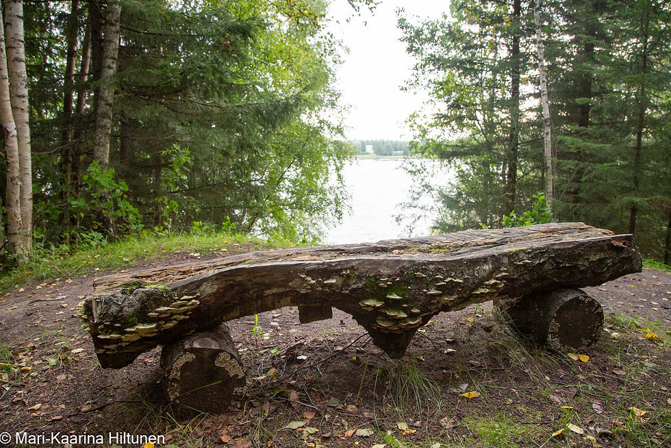 Rustic log bench overlooks Pikkulahti in Raahe in a forest clearing, with photographer watermark Mari-Kaarina Hiltunen.