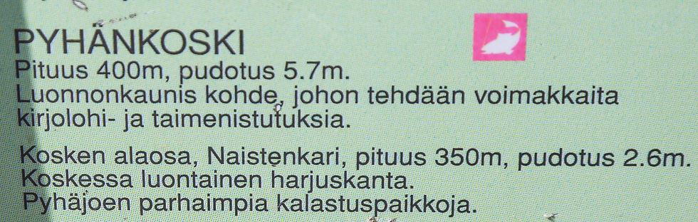 Pyhänkoski on hyvä kalastuspaikka
