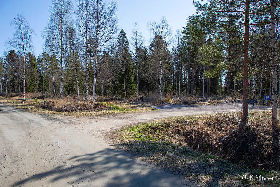 Dirt path in a forest with bare birch trees and evergreens. Clear blue sky, sunlight casting shadows. "M-K Hiltunen" sign on the right. Peaceful mood.