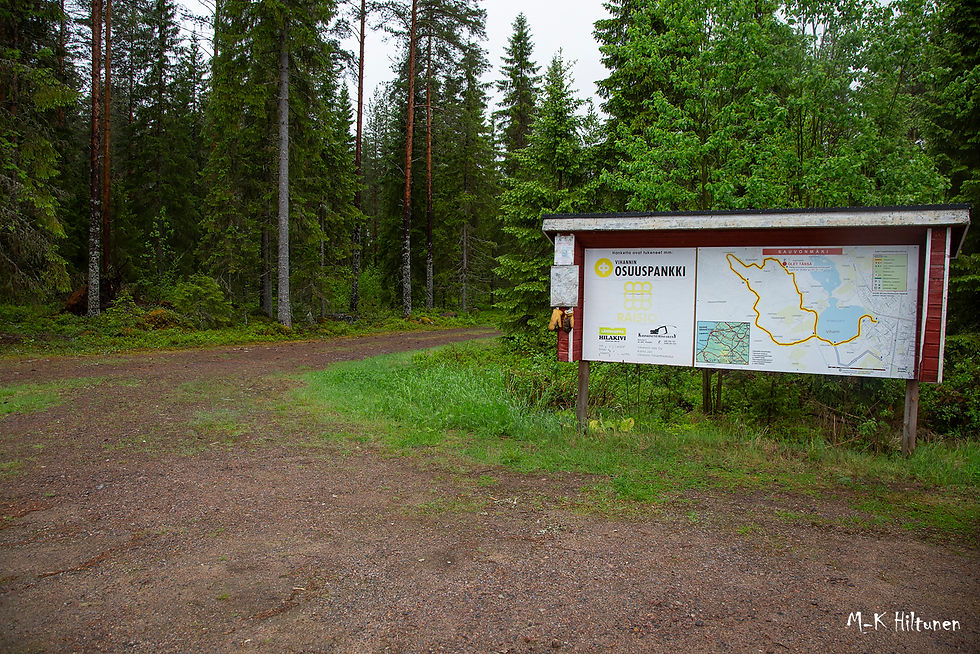 Map board with route and ads in a forest setting. Lush green trees and a gravel path in the background. Sign text includes "OSUUSPANKKI." The place is Sauvonmäki in Vihanti, Raahe.