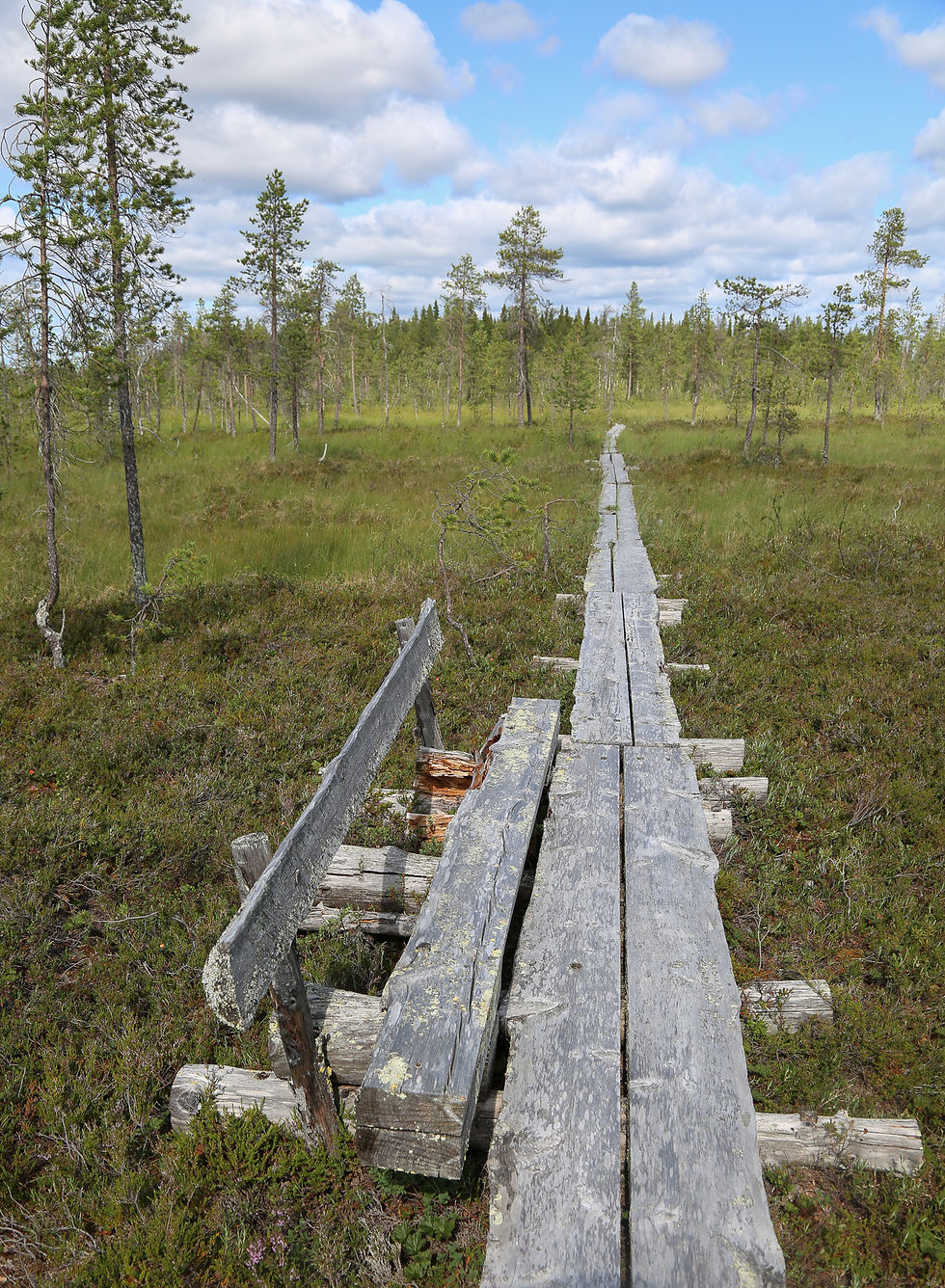 Penkki telatiellä