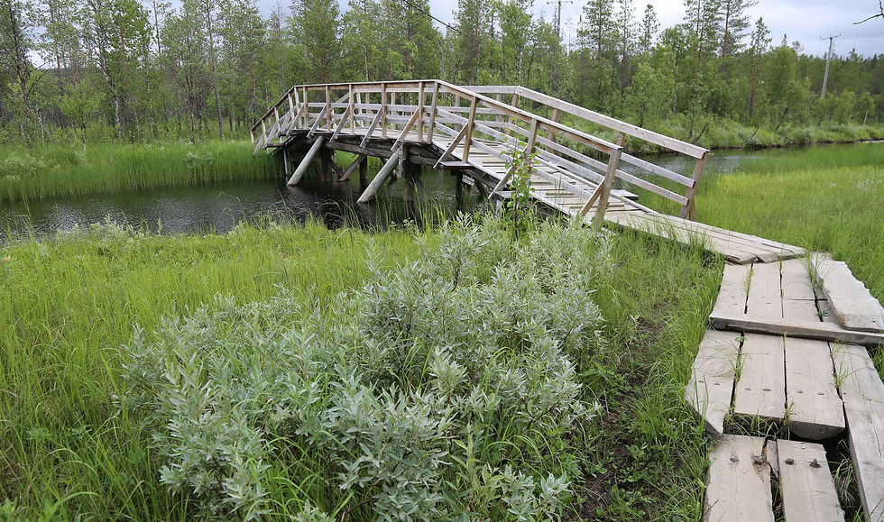 Kesänkijoen ylittävä silta