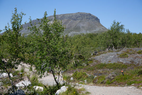 Tsaihkaljärven luontopolulta näkee Saana-tunturin