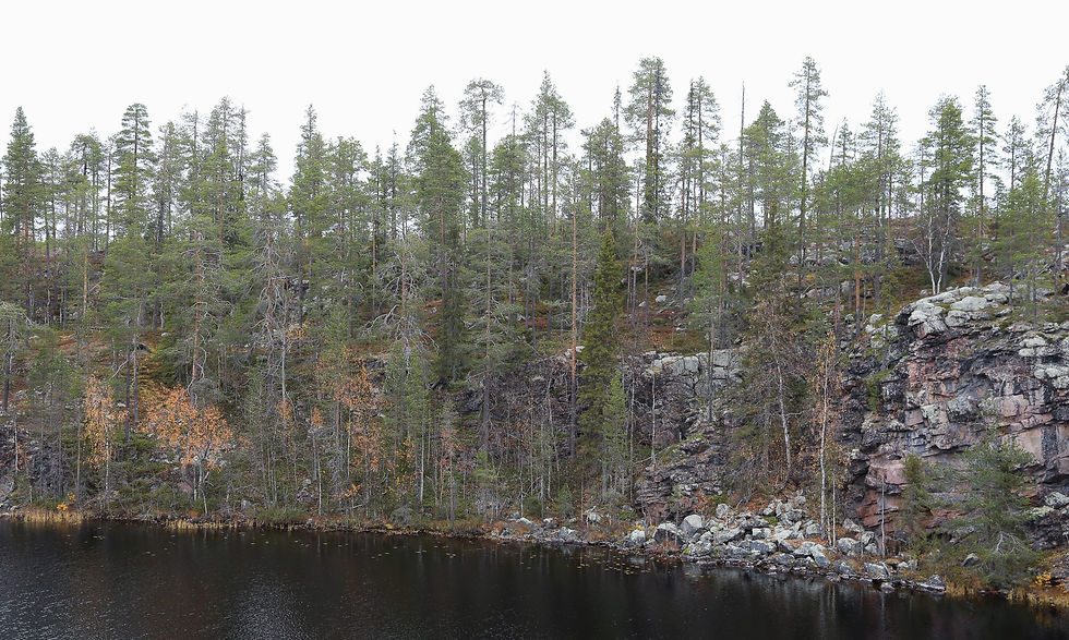 Näkymää Kalliojärvelle Sallassa