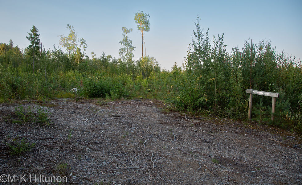 Pirttivaara 300m