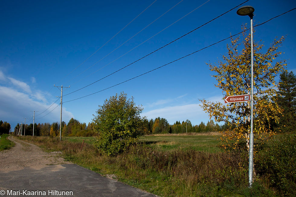 Kilpiaavan luontopolun opasviitta