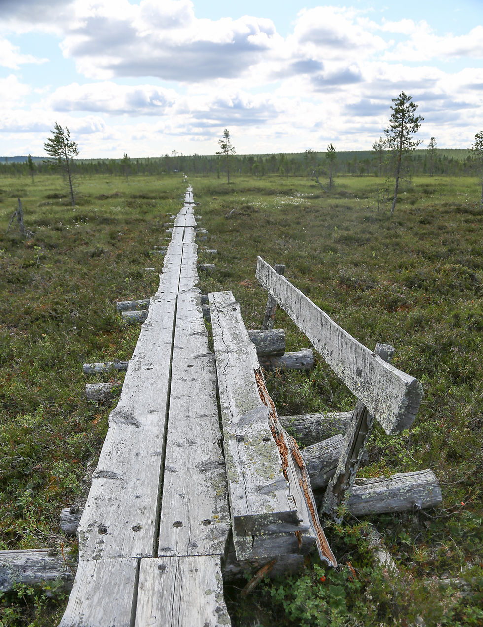 Telatie Venejärvellä