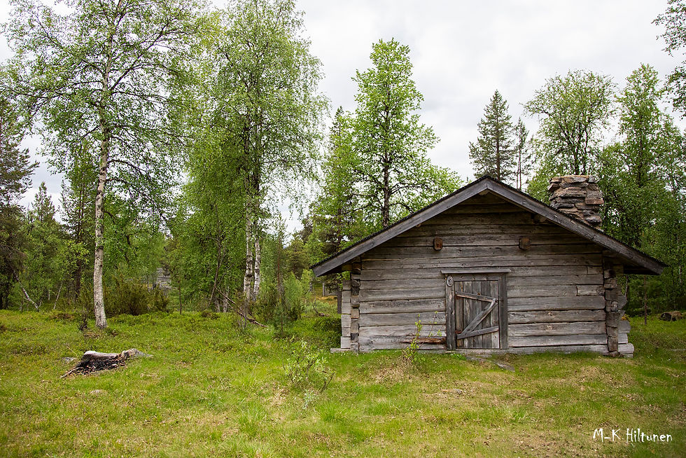 Wooden cabin with stone chimney in a lush green forest clearing. Birch trees frame the cabin. Overcast sky. Text: M-K Hiltunen.