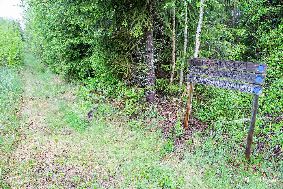 Forest trail with a wooden signpost listing ""Laurinpolku", "Utusen laavu" and "Penikanlaavu". Lush green trees and grass surround the path.