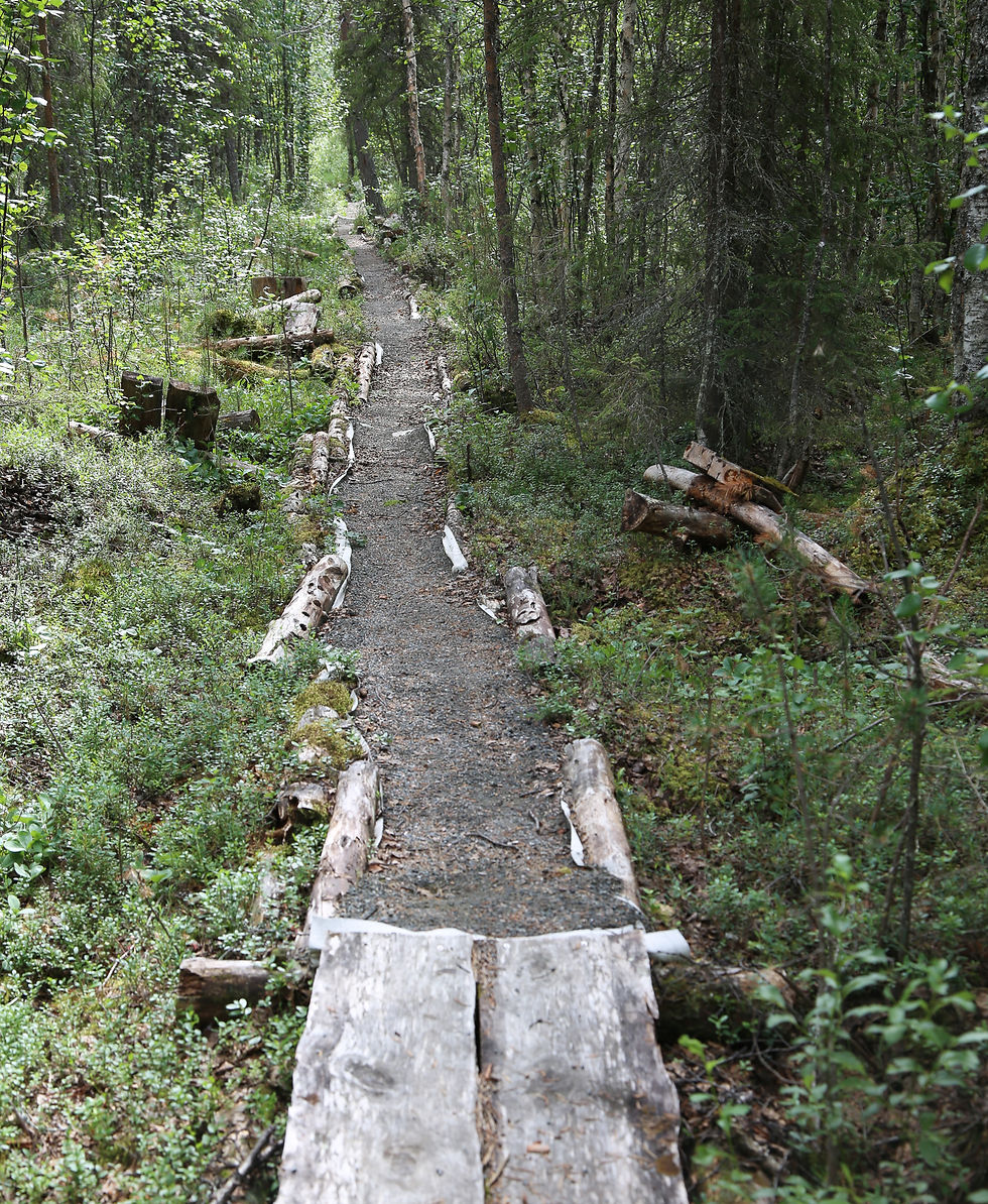 Telatien alkuosaa Venejärvellä on sorastettu