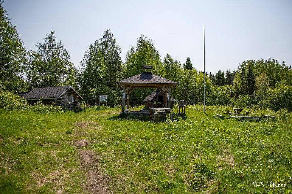 Sunny park scene with a wooden shelter, picnic tables, and a flagpole. Surrounded by lush green trees. Peaceful, natural setting.