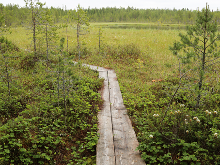 Palokankaan reitti / Riutanjärven kierros (3.7km) Raahen Pattijoella