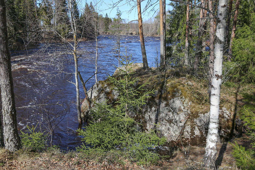 Pyhänkoskea Merkijärvellä