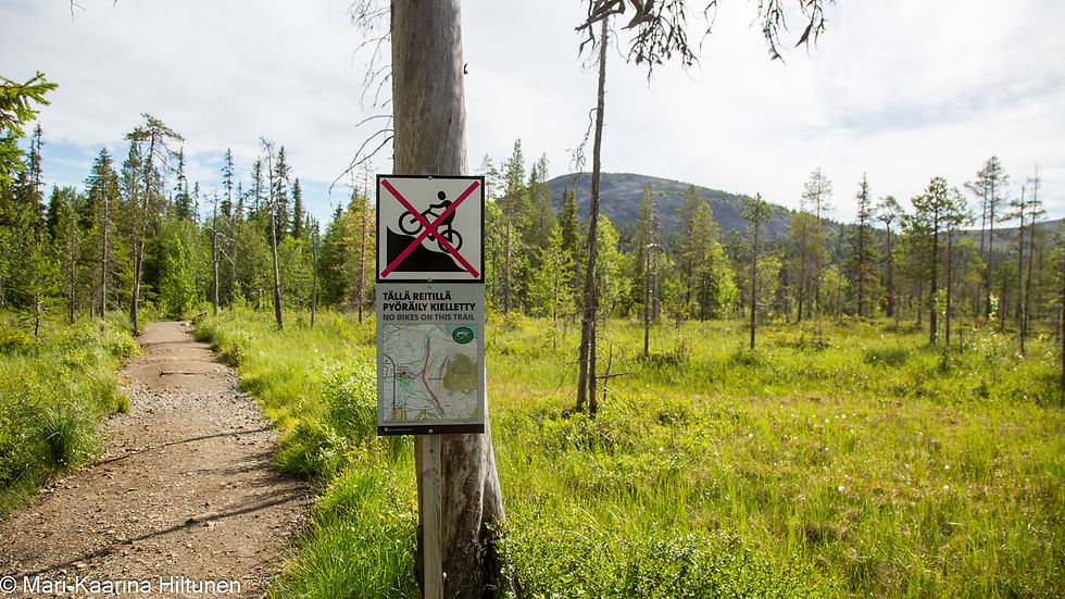 Suon takana näkyy Kellostapuli