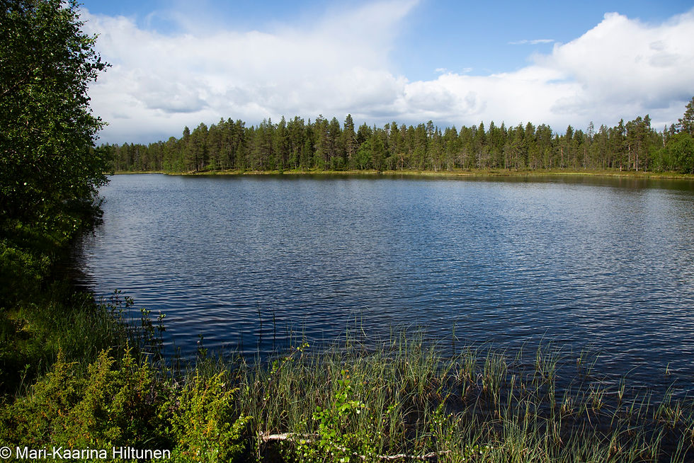 Kesäinen Pitkäjärvi Enontekiössä