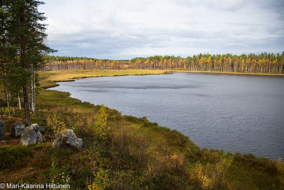 Iso Sarvilampi Savukoskella