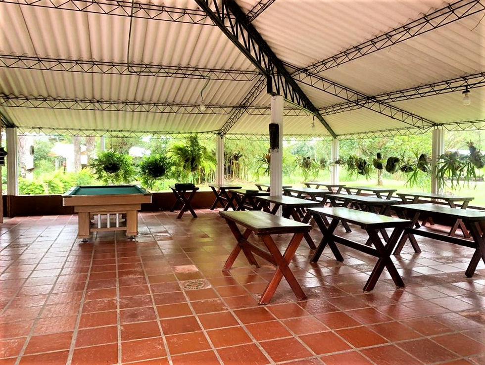 Miniatura: 🏞️ Finca - Hotel en vereda El Cairo, Villavicencio, Meta.🏨
