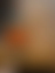 WILDMAN CAMPING CLUB