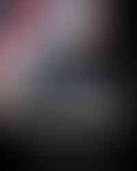 black salomon high shoe on dipslay