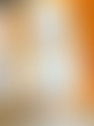 VANS X FTMD COLLECTION