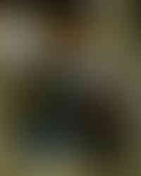 sneakers and footwear and kangol bag display inside goodluck bunch store singapore