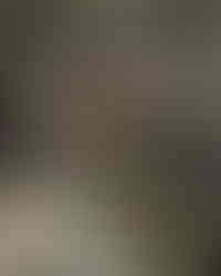 nike adidas vans puma women's shoes on display on shelf cement floor leftfoot mandarin gallery limited edition store