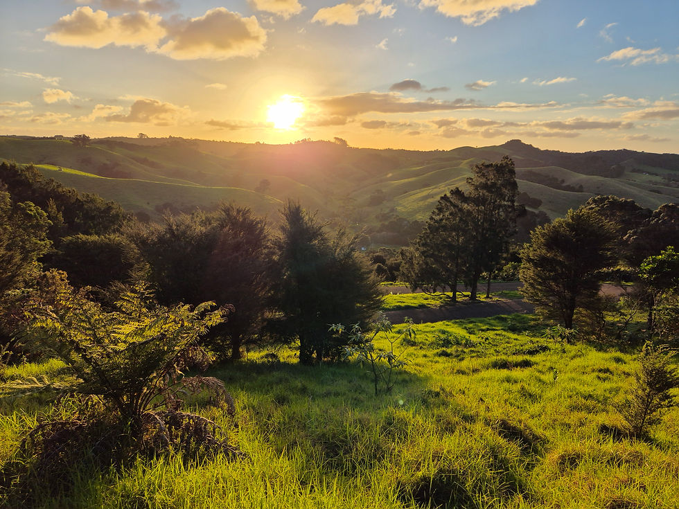 A stunning sunset from Lot Three.