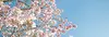 summer-camps.webp