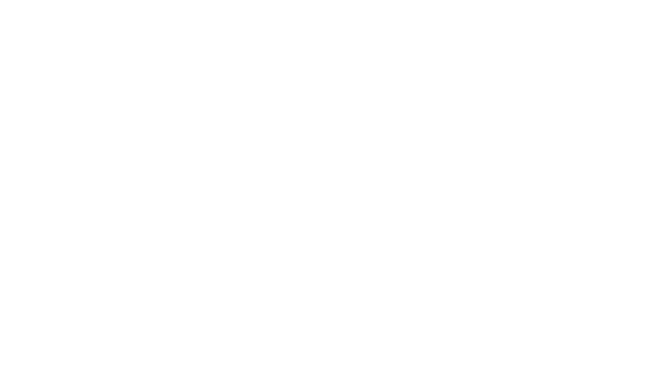 Blackvos Referenz Alpha Trans