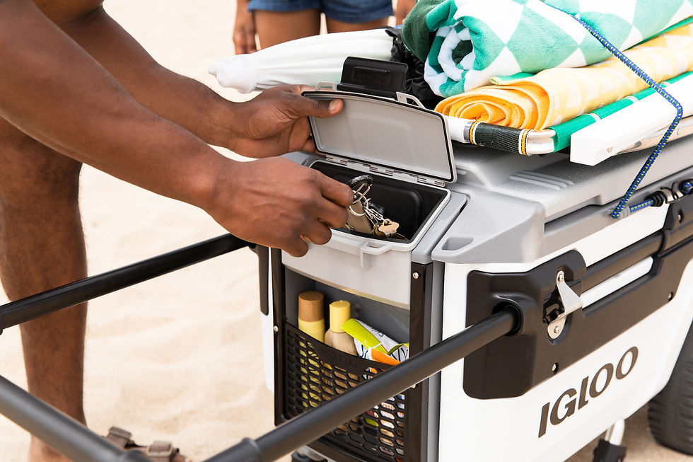 الصورة المصغرة: Igloo Trailmate Marine 70 Quart, Wheeled Cooler, White and Black