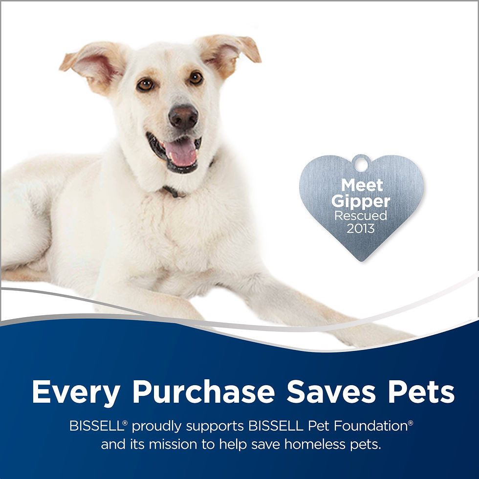 Thumbnail: BISSELL Power Lifter Pet with Swivel Bagless Upright Vacuum, 2260