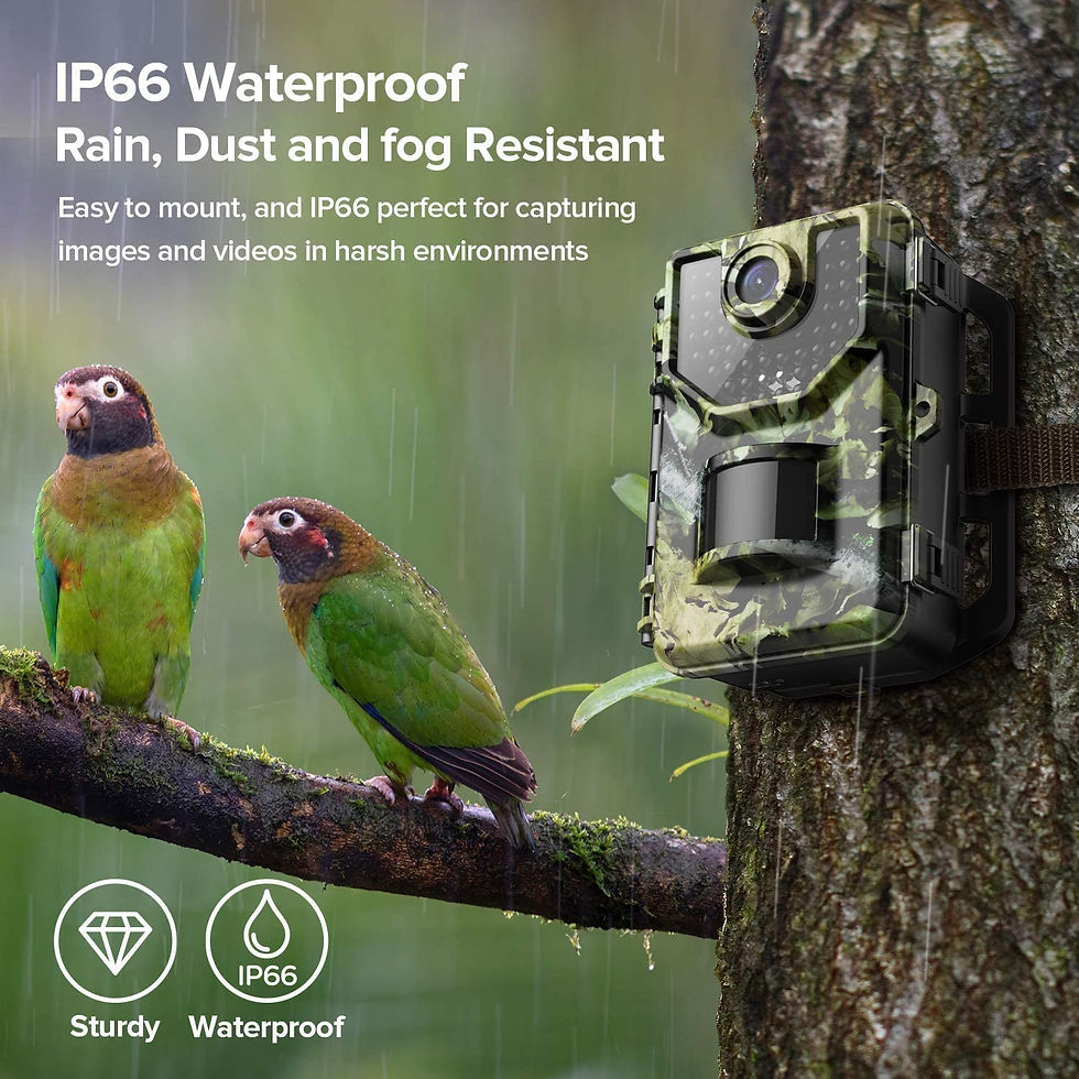 الصورة المصغرة: 1520P 20MP Trail Camera, Hunting Camera with 120°Wide-Angle Motion Latest Sens