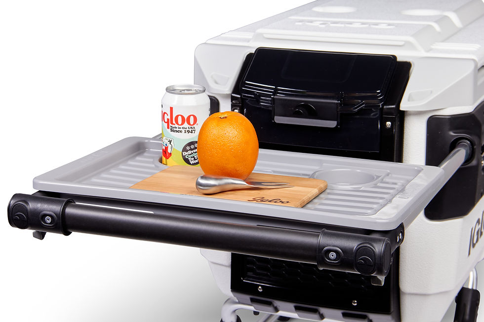الصورة المصغرة: Igloo Trailmate Marine 70 Quart, Wheeled Cooler, White and Black