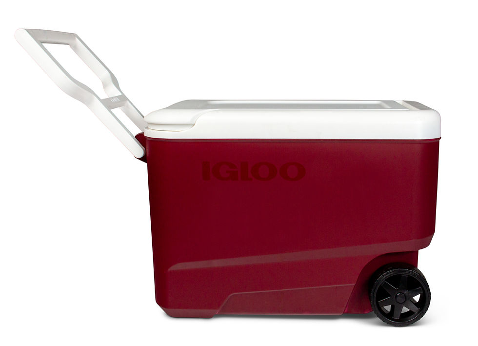 Миниатюра: Igloo 38 qt. 'Wheelie Cool' Hard Ice Chest Cooler with Wheels - Maroon