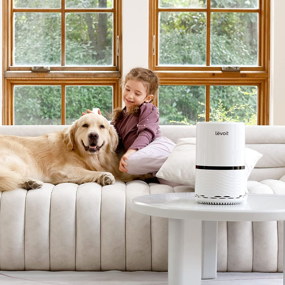 Miniatura: LEVOIT Air Purifiers for Home, H13 True HEPA Filter for Smoke, Dust, Mold, and 