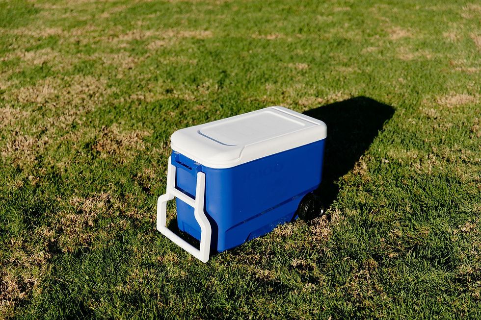 Миниатюра: Igloo 38 qt. Ice Chest Cooler with Wheels, Blue