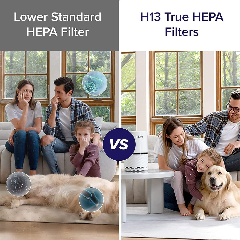 Miniatura: LEVOIT Air Purifiers for Home, H13 True HEPA Filter for Smoke, Dust, Mold, and 