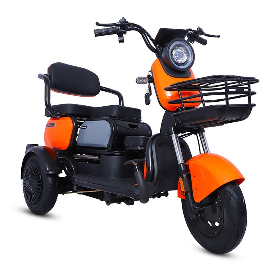 الصورة المصغرة: Road Legal Motorcycle 800W 60V 20A Electric Tricycle with Lithium battery Three