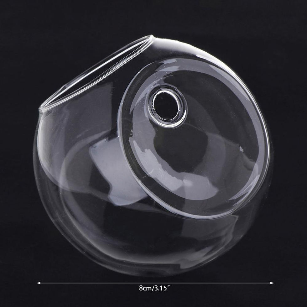 Thumbnail: Transparent Glass Vase Wall Hanging Fish Tanks Potted Plant Flower Pot