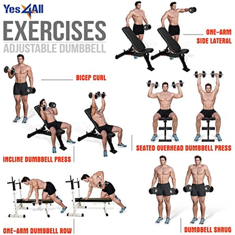 Thumbnail: Yes4All Adjustable Cast Iron Dumbbell Sets with Alloy Steel Connector Option fo