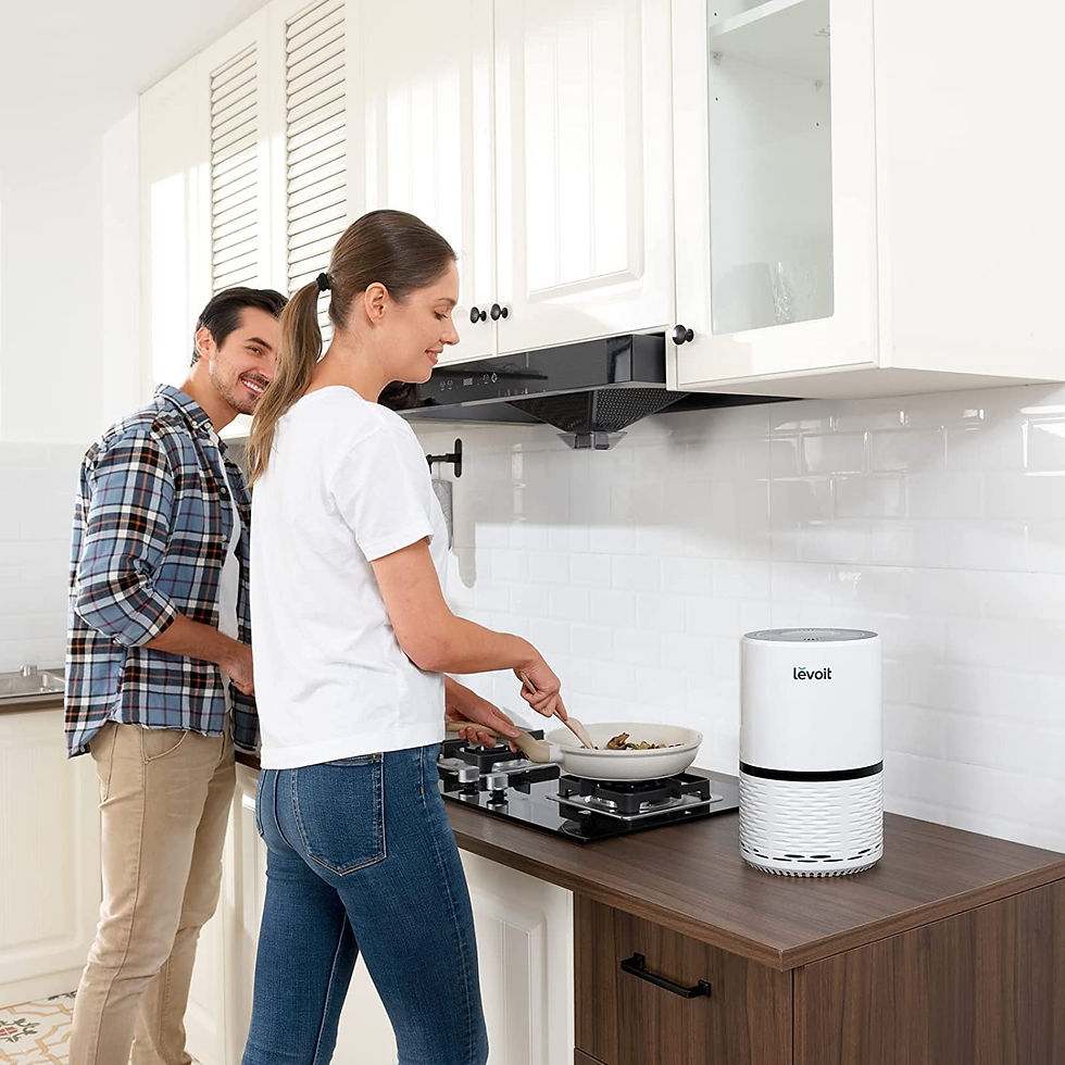 Miniatura: LEVOIT Air Purifiers for Home, H13 True HEPA Filter for Smoke, Dust, Mold, and 