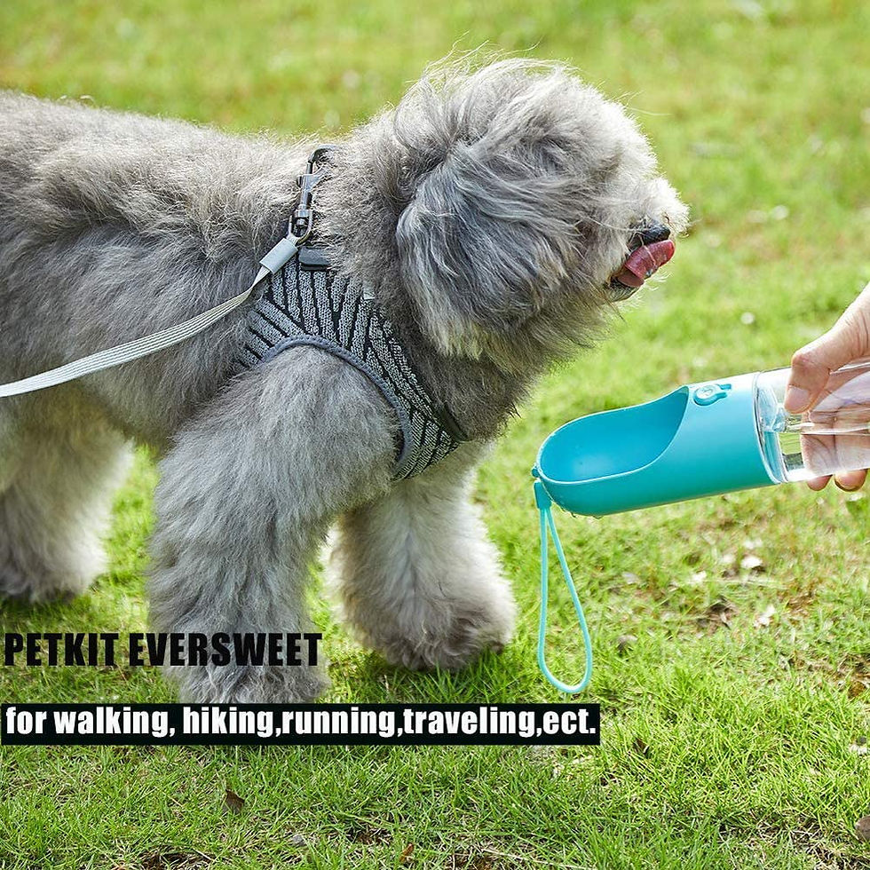 Thumbnail: Instachew PETKIT Gen 2 Eversweet Smart Travel