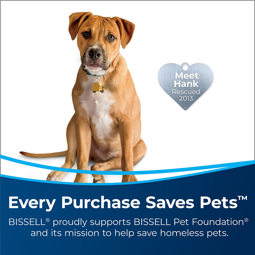 Thumbnail: BISSELL ProHeat 2X Lift-Off Pet Full Size Carpet Cleaner, 15651