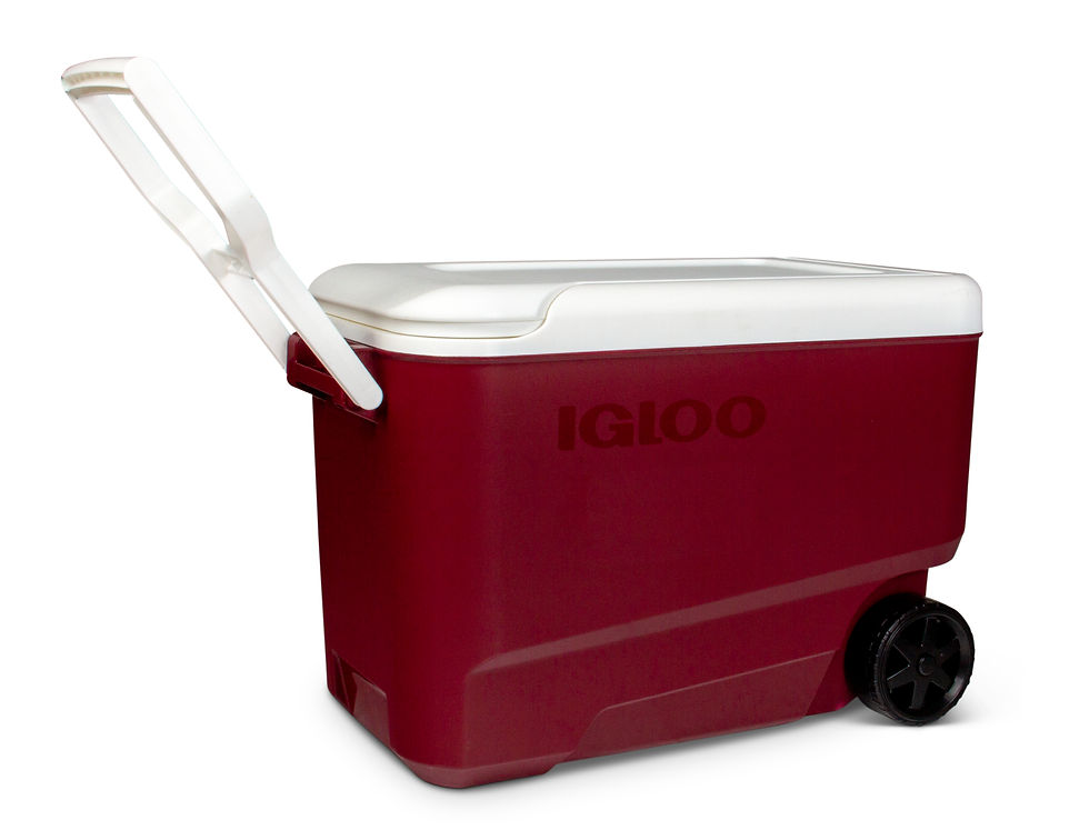 Миниатюра: Igloo 38 qt. 'Wheelie Cool' Hard Ice Chest Cooler with Wheels - Maroon